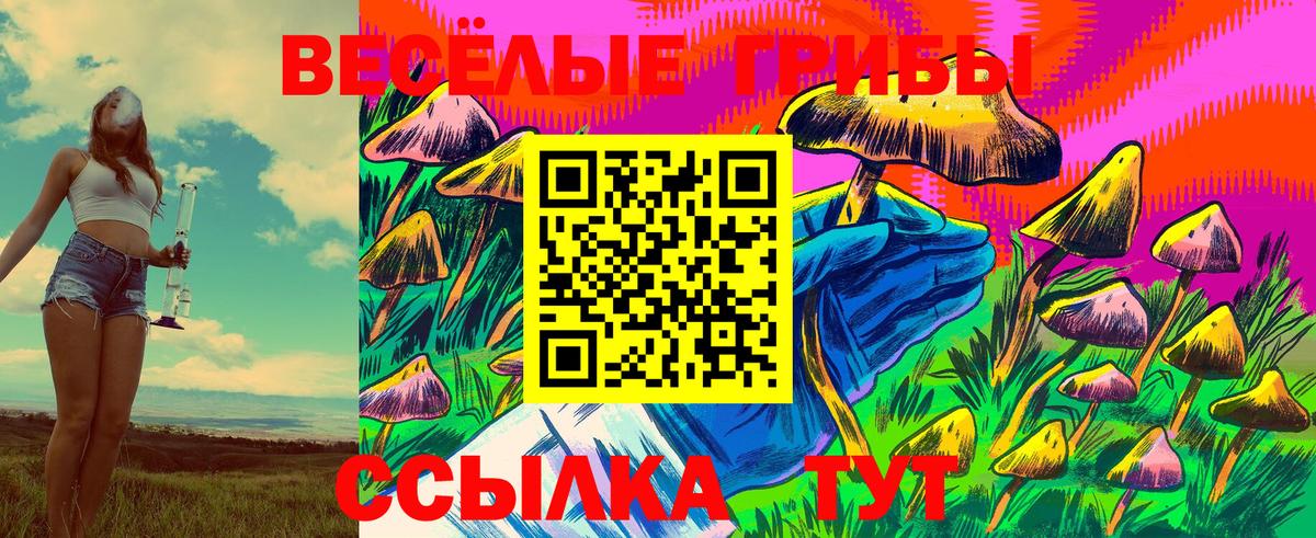 Вязники  Галлюциногенные грибы MAGIC MUSHROOMS  Псилоцибиновые грибы MAGIC MUSHROOMS  дарнет шоп  Вход с VPN 